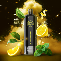 Lifted Lemon Mint Low Ice Vape - Beast Bar 15K Disposable