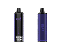 Shisha Grape Low Ice Vape - Beast Bar 15K Disposable