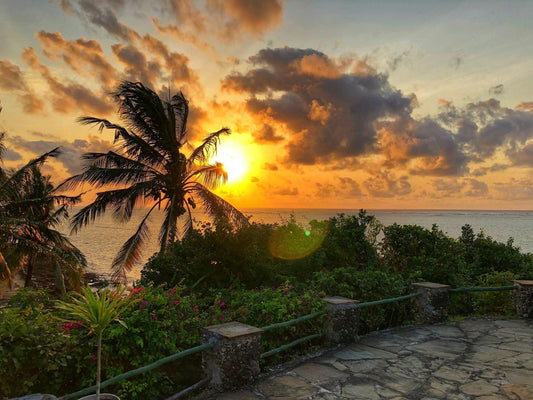 a tropical beach scene