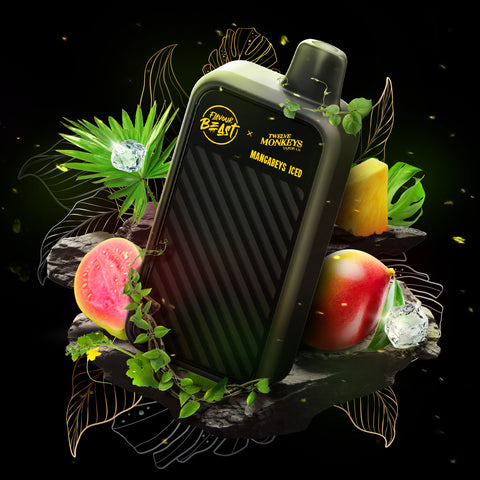 Flavour Beast Official Store - Beast Mode Max 2 Flavour Beast Official Store - Beast Mode Max 2