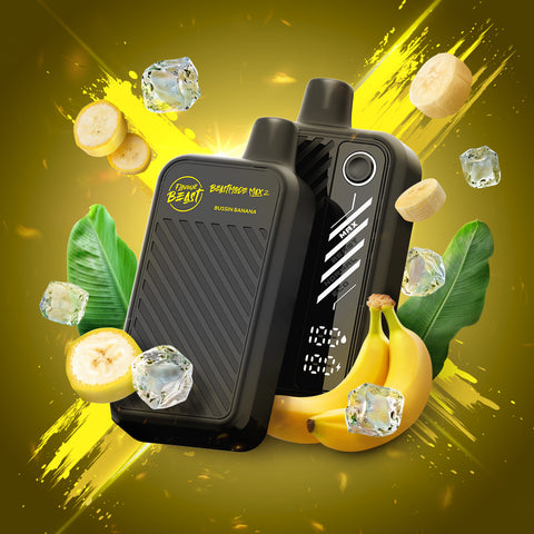 Disposable Vapes Canada | Flavour Beast